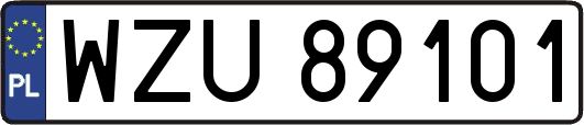 WZU89101