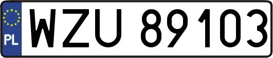 WZU89103