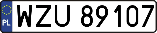 WZU89107