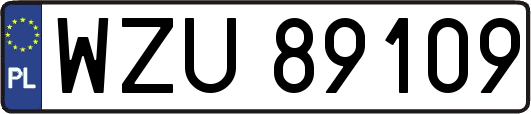 WZU89109