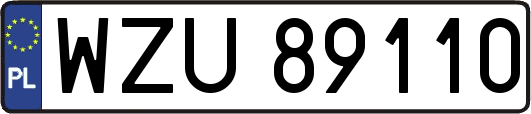 WZU89110
