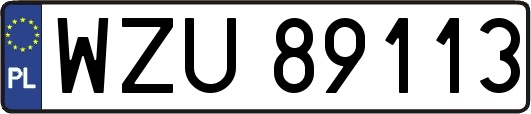 WZU89113