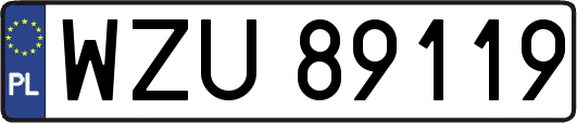 WZU89119