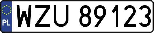 WZU89123