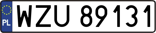 WZU89131