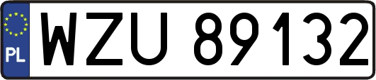 WZU89132