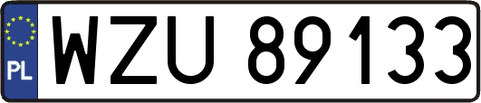 WZU89133