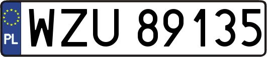 WZU89135