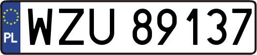 WZU89137