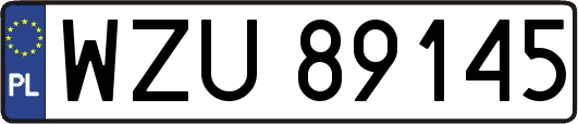 WZU89145