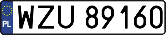 WZU89160