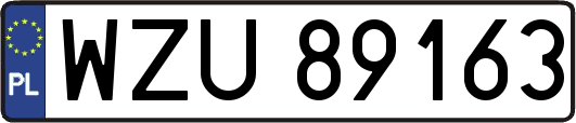 WZU89163