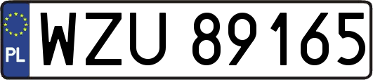 WZU89165