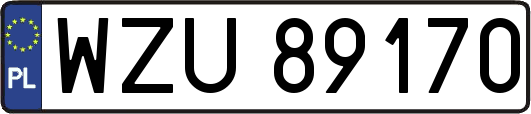 WZU89170