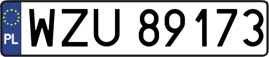 WZU89173