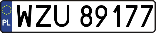 WZU89177
