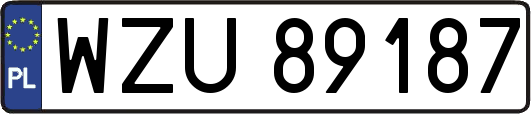 WZU89187