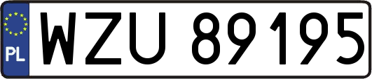 WZU89195