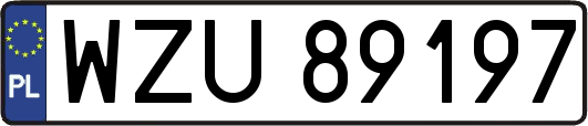 WZU89197