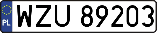 WZU89203