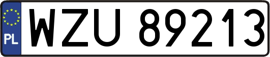WZU89213