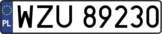 WZU89230