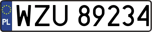 WZU89234