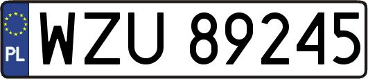 WZU89245