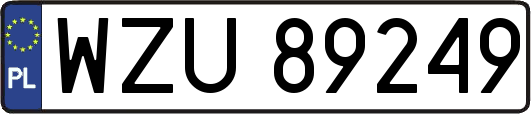 WZU89249