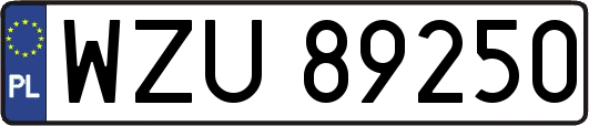 WZU89250