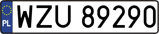 WZU89290