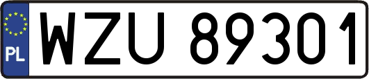 WZU89301