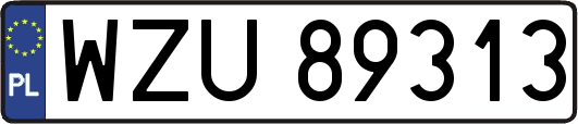 WZU89313