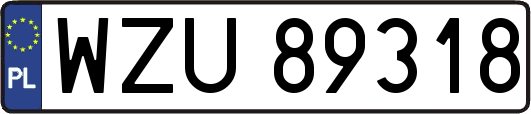 WZU89318