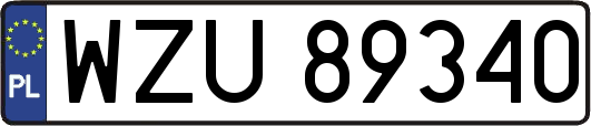 WZU89340