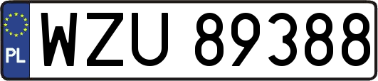 WZU89388
