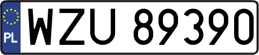 WZU89390