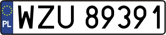 WZU89391