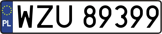 WZU89399