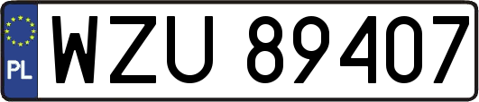 WZU89407