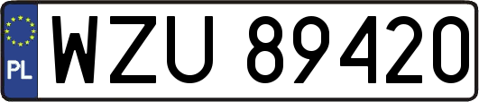 WZU89420