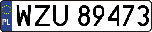 WZU89473