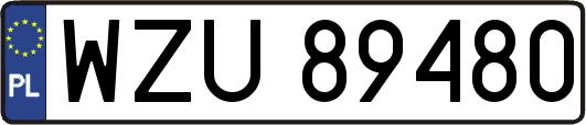 WZU89480
