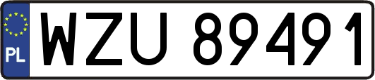 WZU89491
