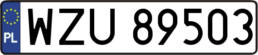 WZU89503
