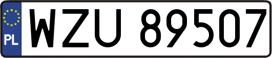 WZU89507