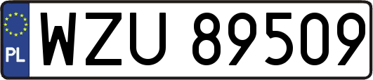 WZU89509