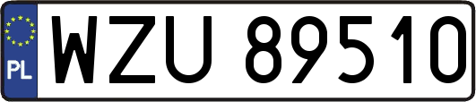 WZU89510