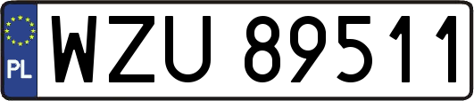 WZU89511