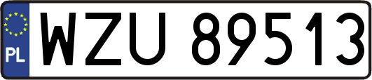 WZU89513